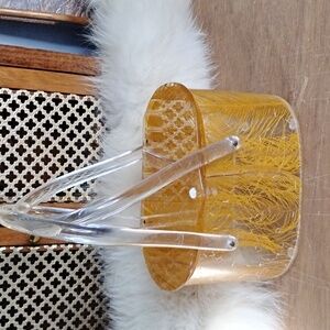 Vintage 1950  Clear Lucite Box Hand Bag With Orange Feathers